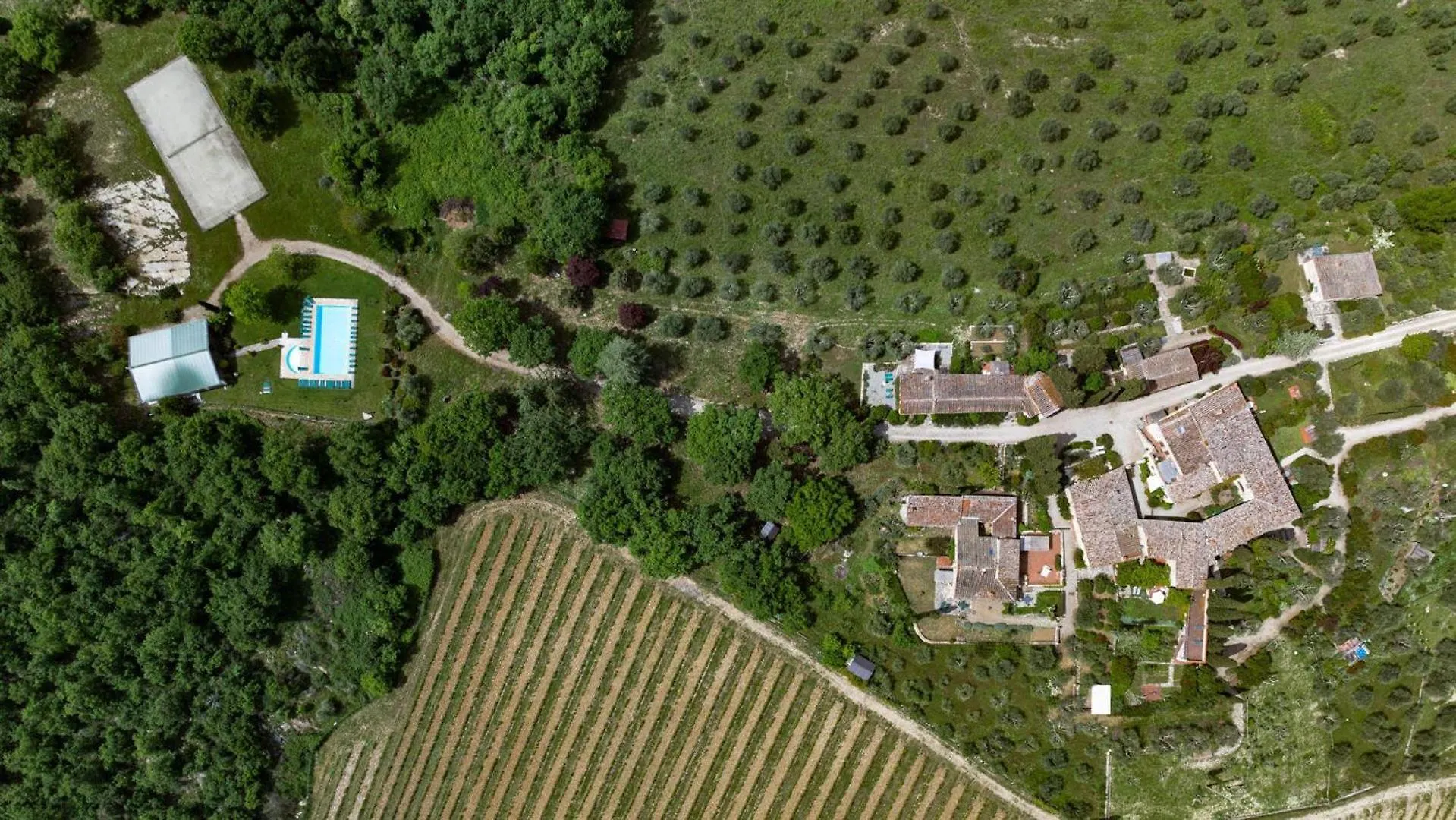 Due Leoni Villa Gaiole in Chianti Holiday home