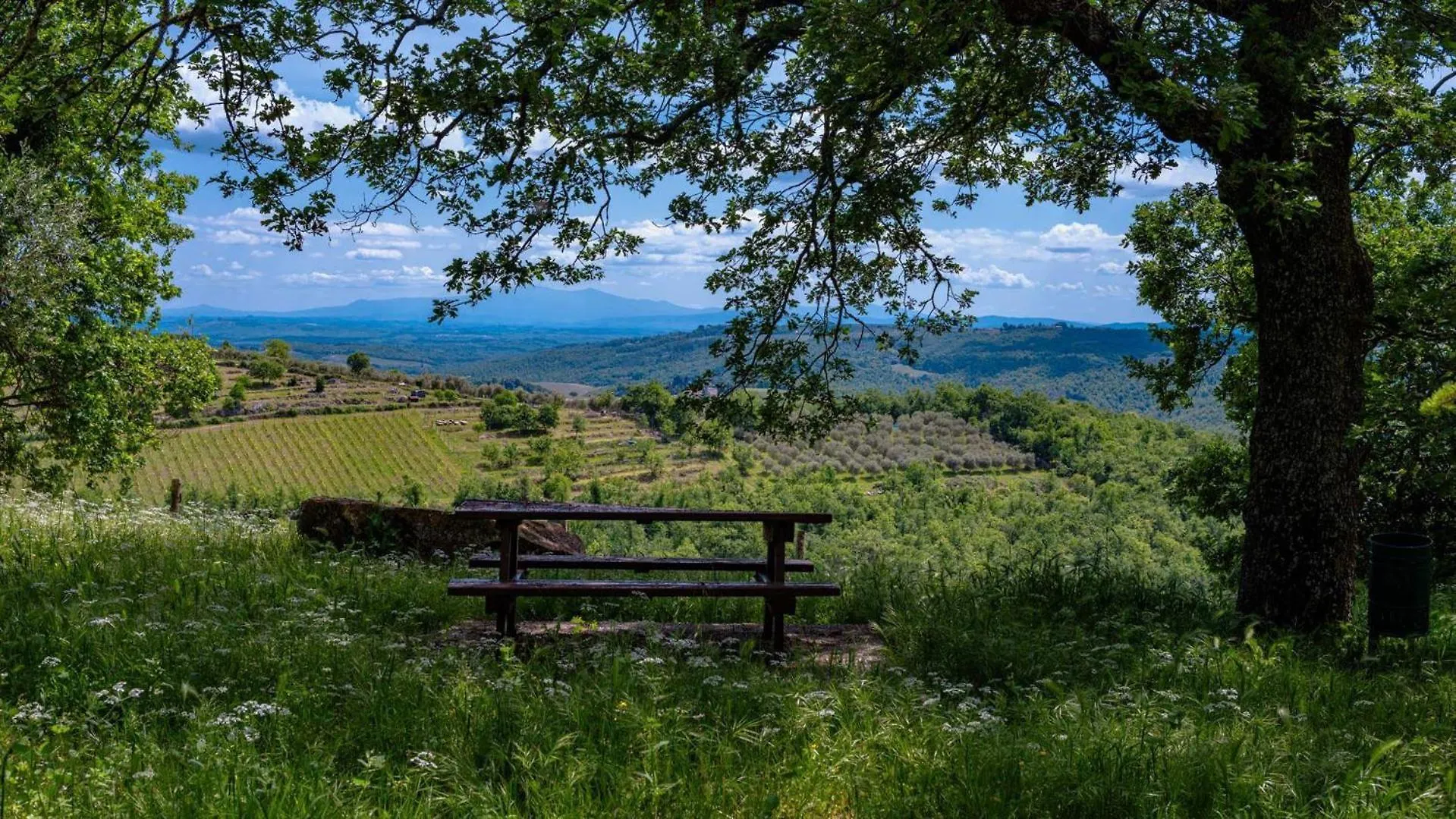 Due Leoni Villa Gaiole in Chianti Holiday home